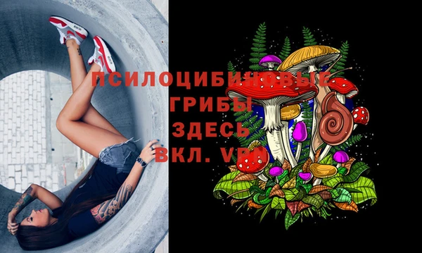 бошки Алзамай