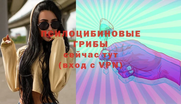 бошки Алзамай