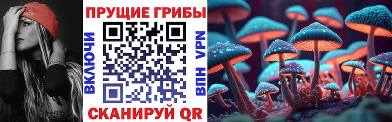 Псилоцибиновые грибы Magic Shrooms Юрьевец